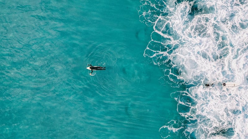 Nature-Inspired Patterns